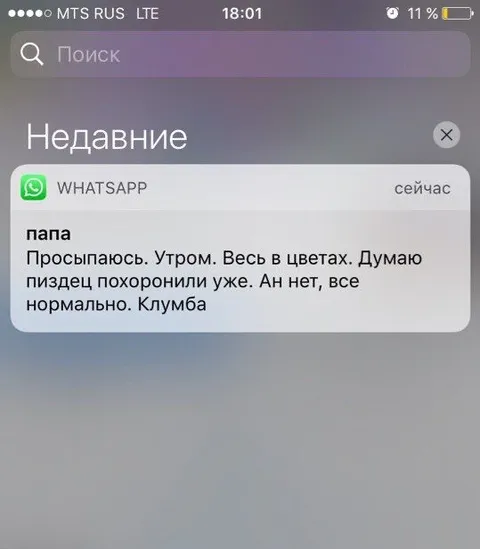 Проснулся весь в цветах