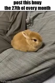 Monthly 27th Bunny Post