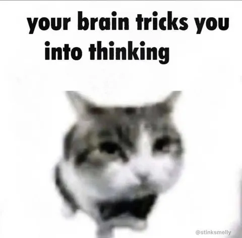 Your Brain Tricks You
