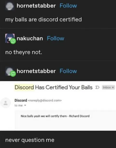 Discord Certified Your Balls