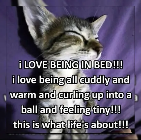 I Love Being in Bed