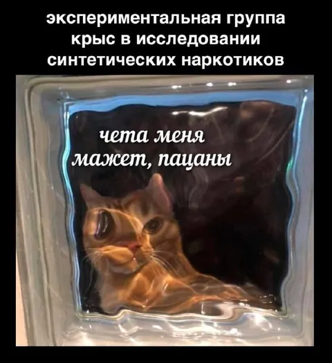 Экспериментальная группа после наркотиков