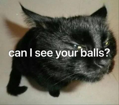 Can I See Your Balls?