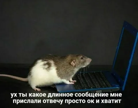 Длинное сообщение от друга