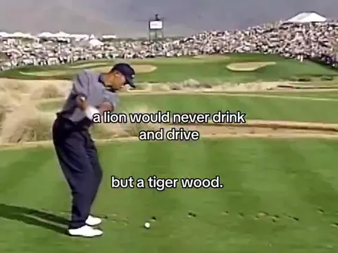 A Lion Would Never Drink and Drive
