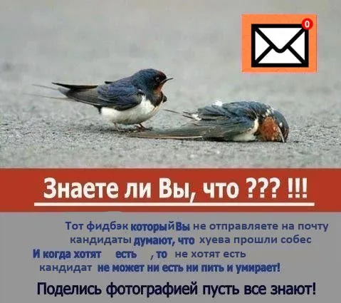 Фидбек после собеседования