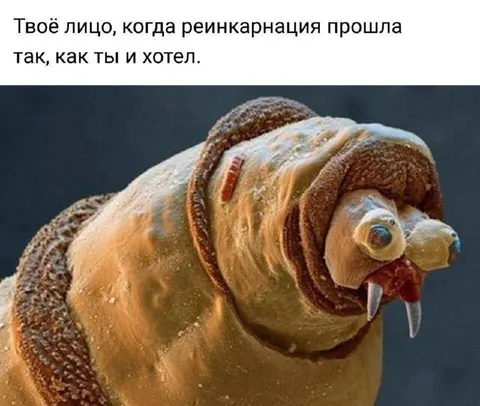 Лицо после идеальной реинкарнации