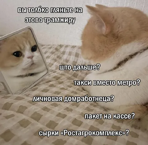 Что дальше после фисташек