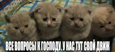 У нас тут свой движ
