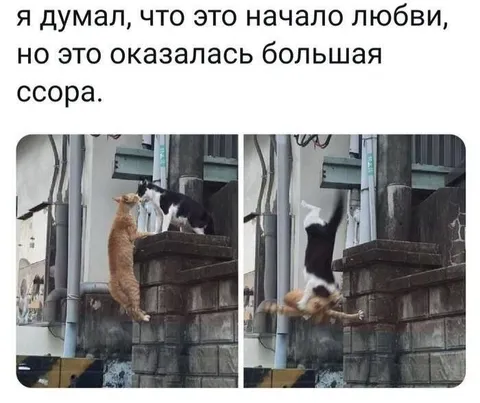 Начало любви оказалось ссорой
