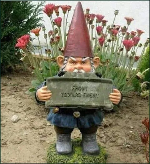 Garden Gnome Fighting the Enemy