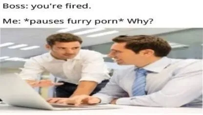 Pauses Furry Porn