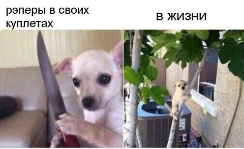 Рэперы в куплетах и в жизни