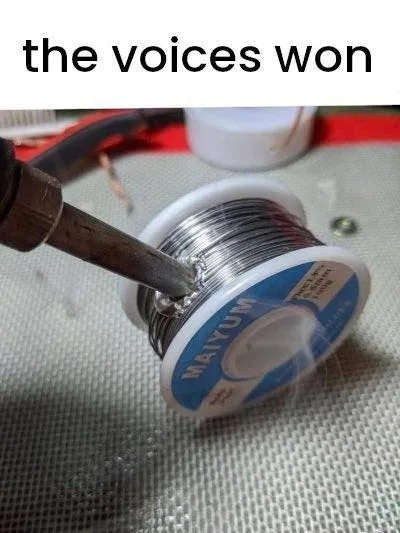 The Voices Won