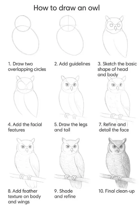 How to Draw an Owl