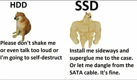 HDD vs SSD durability