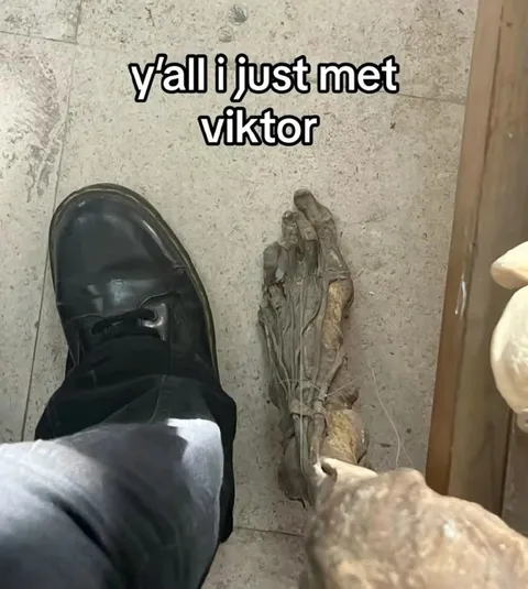 Just Met Viktor