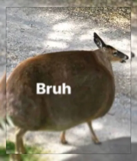 Bruh Walking Away