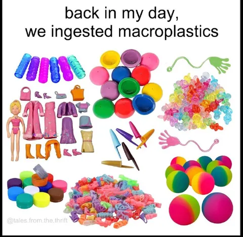 Back in My Day Macroplastics