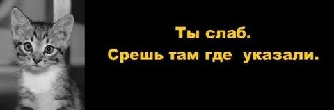 Ты слаб, срешь где указали