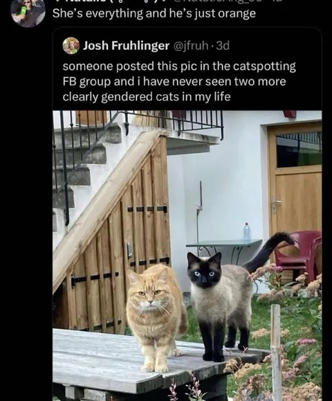 She’s Everything, He’s Just Orange