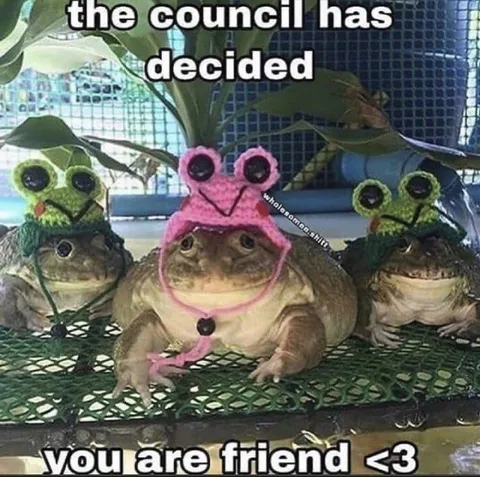 The Council Has Decided