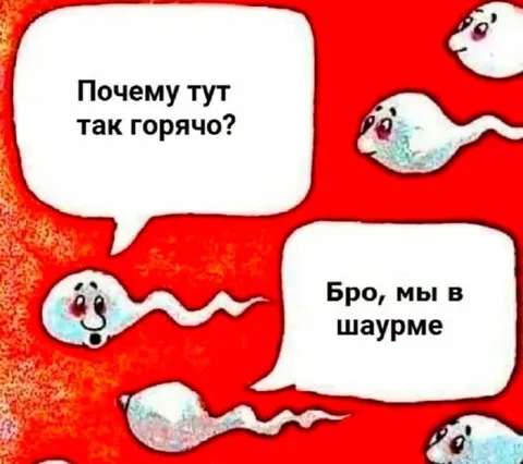 Сперматозоиды в шаурме