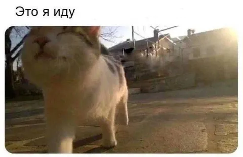 Это я иду