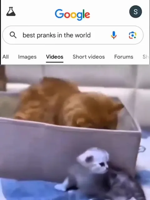 Best Prank in the World
