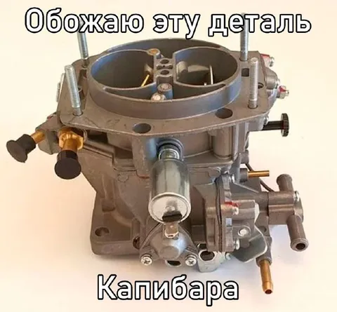 Обожаю эту деталь — капибара