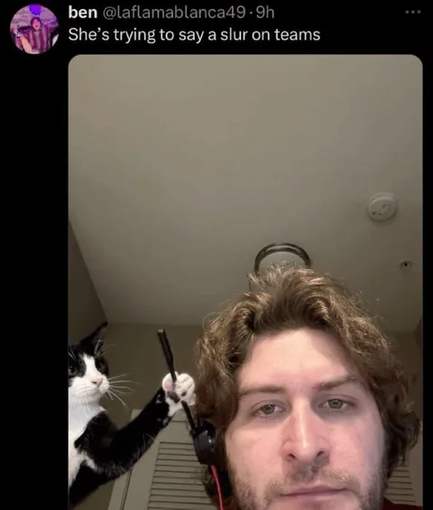 Cat Tries to Say a Slur