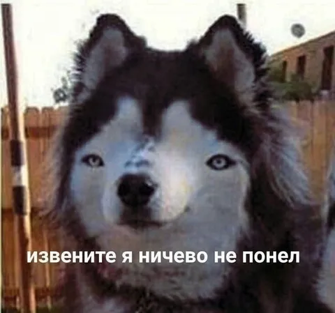 Извините, я ничего не понял