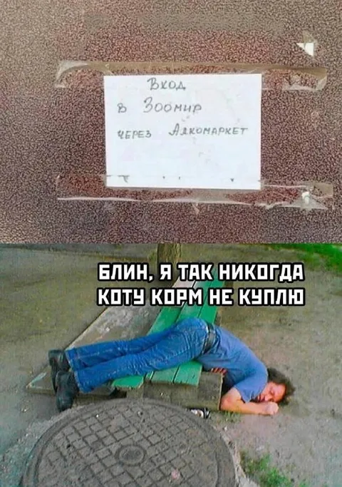 Кот никогда не дождётся корма