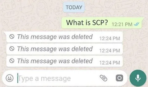 What Is SCP Deleted Messages