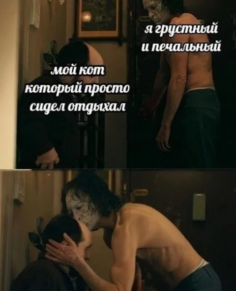Грустный кот просто отдыхает