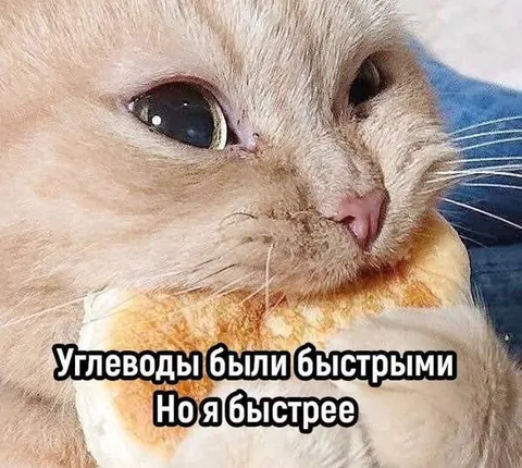 Я быстрее углеводов