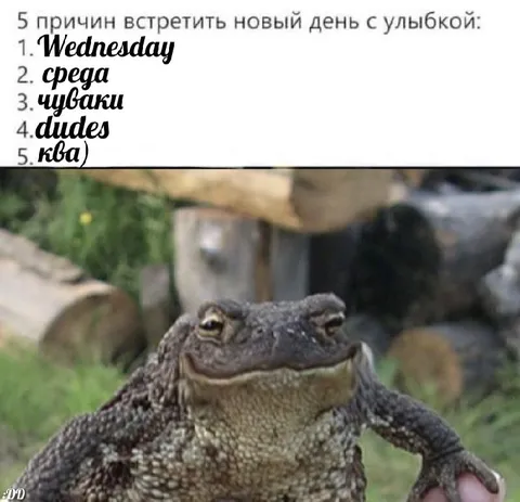 Пять причин улыбнуться утром