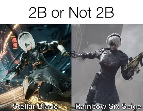 2B or Not 2B