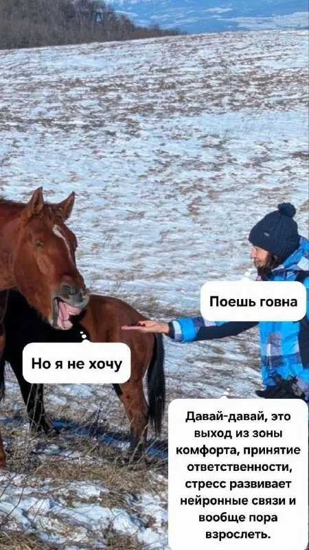 Лошадь не хочет взрослеть