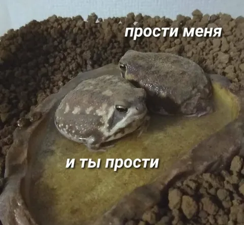 Лягушки просят прощения
