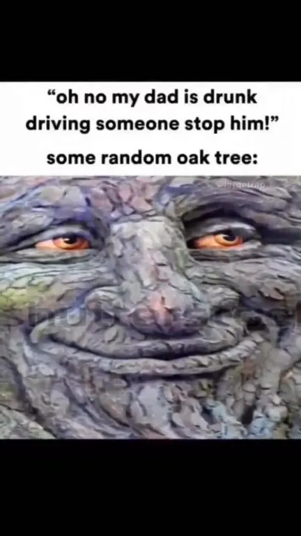 Random Oak Tree Stops Drunk Dad