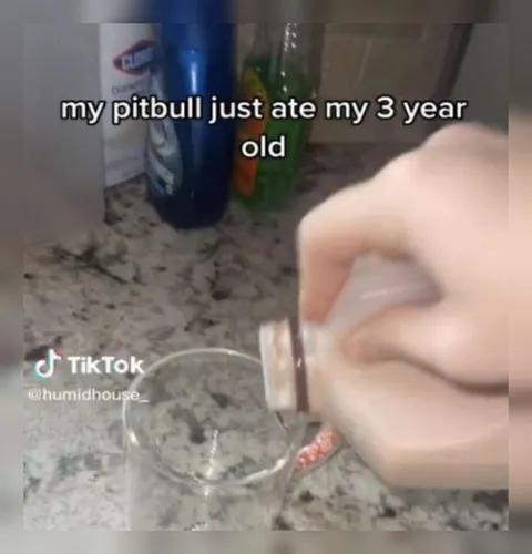 Pitbull Ate My Three-Year-Old