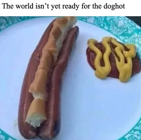 The World Isn’t Ready for Doghot