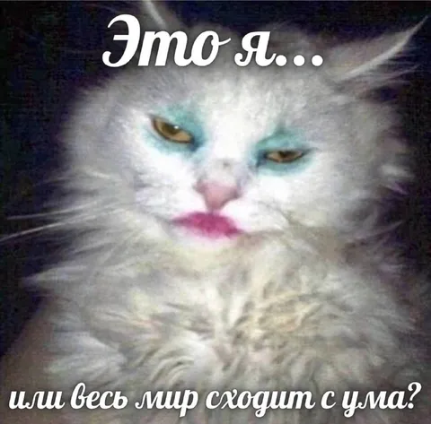 Это я или весь мир сходит с ума
