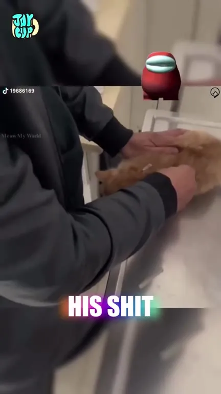 Кот делает странные вещи