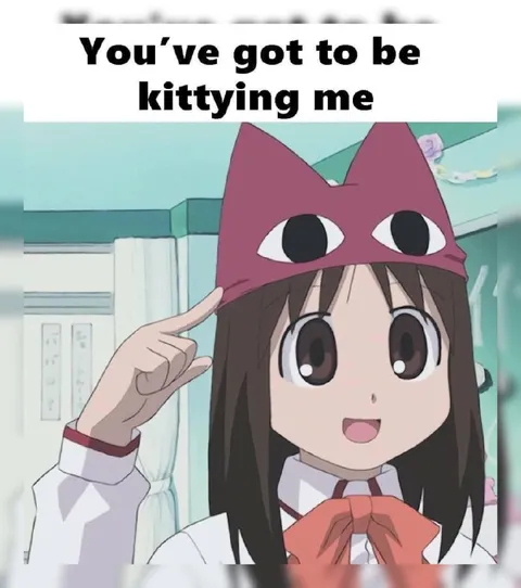 You’ve Got to Be Kittying Me