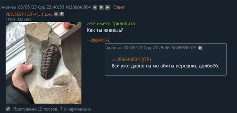 Как ты живёшь без трилобита