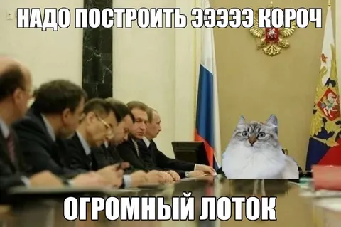 Огромный лоток для кота