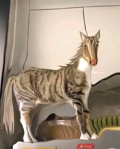 Кот, похожий на лошадь
