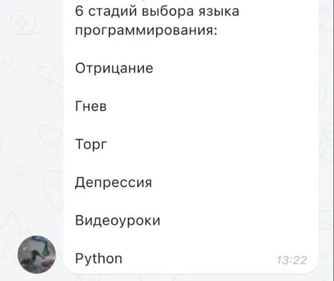 6 стадий выбора языка программирования